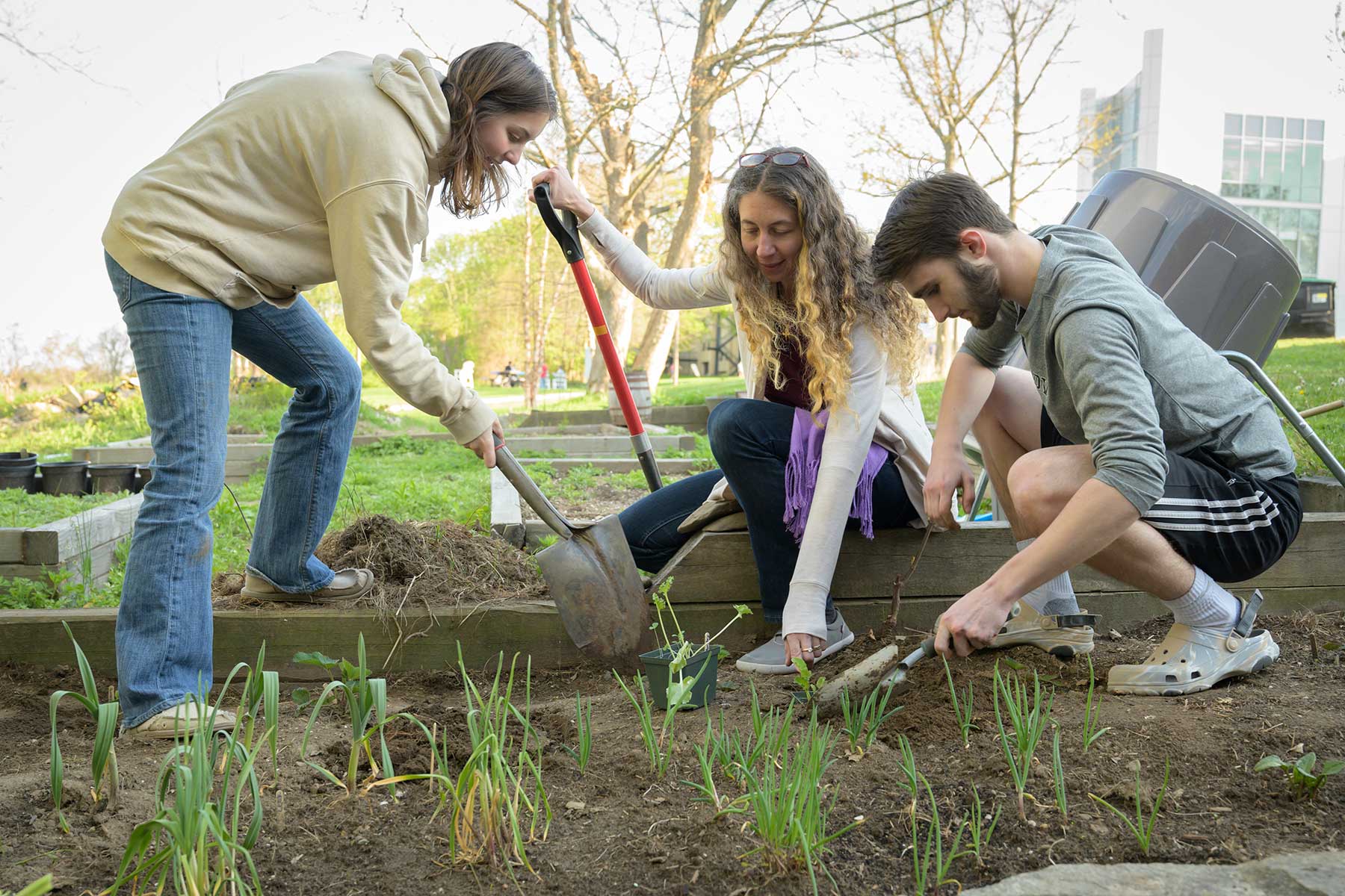 community garden