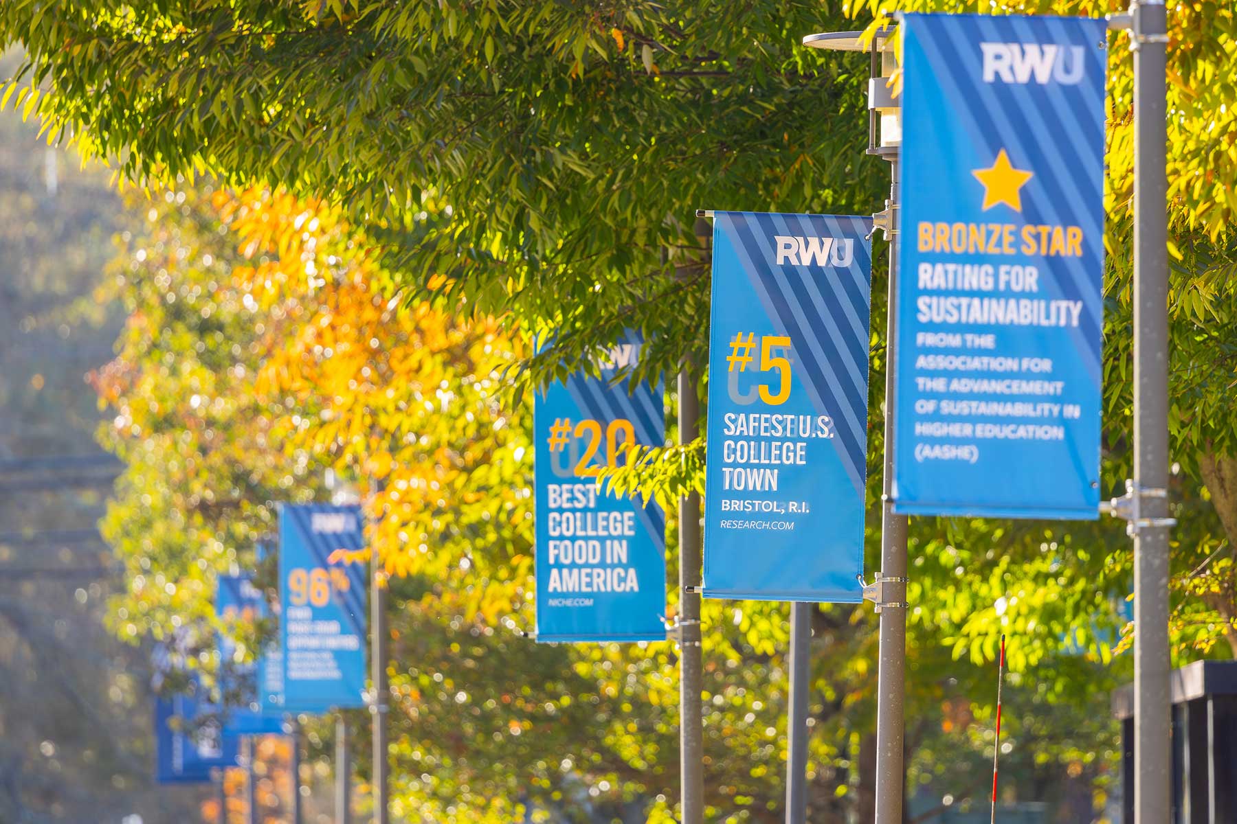 campus flags in the fall