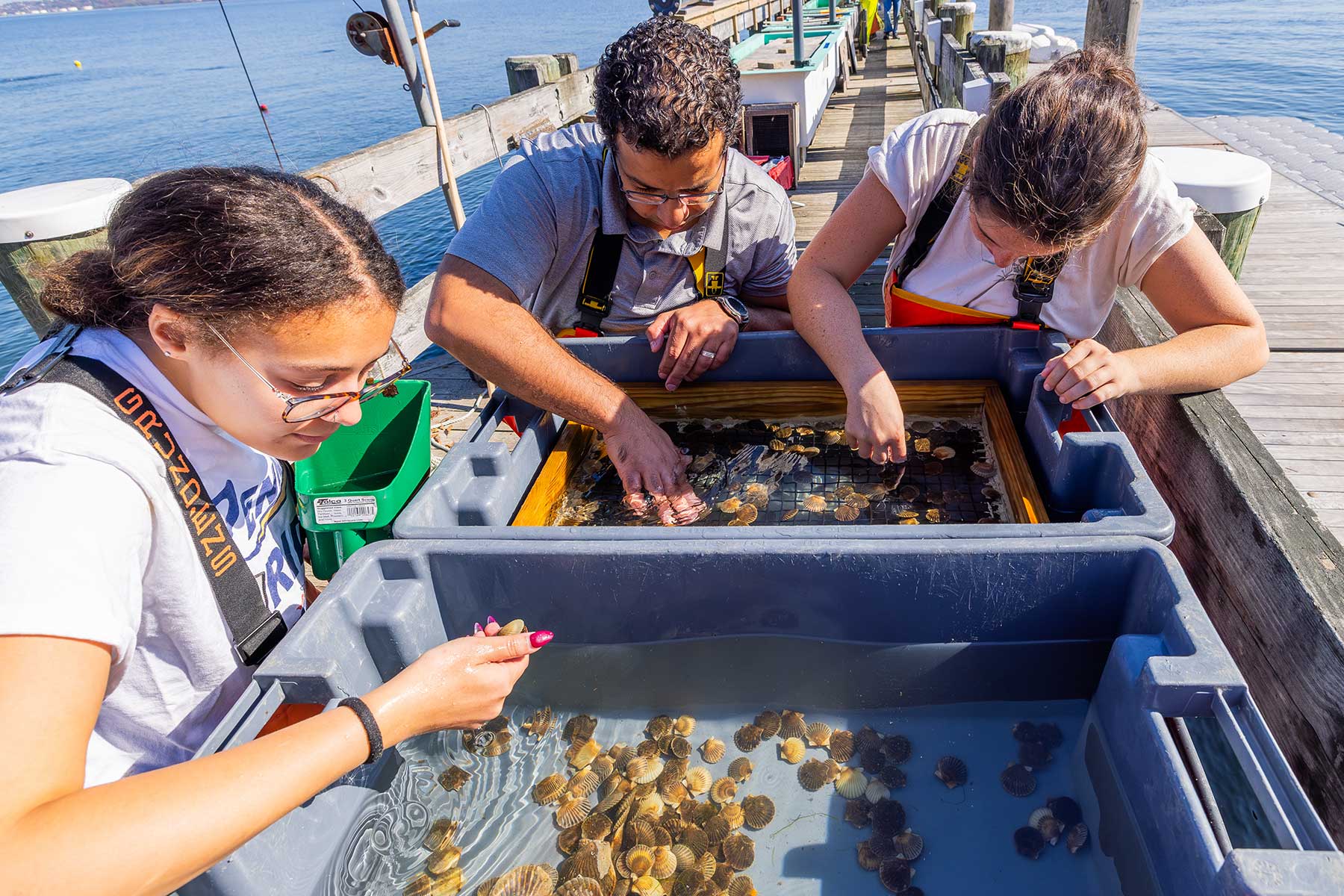 marine biology