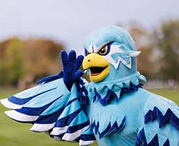 mascot